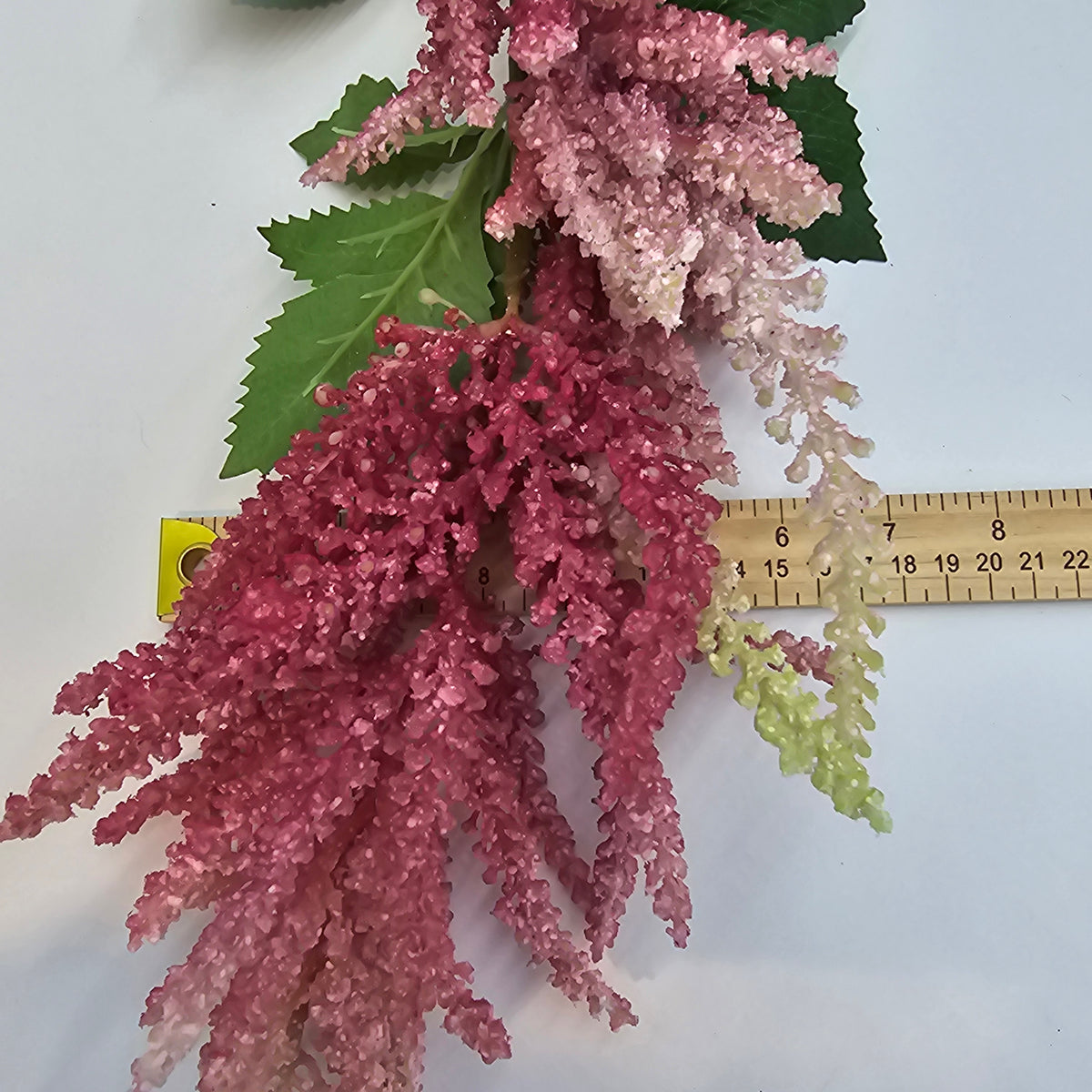 34&quot;ASTILBE--fsa378-ty