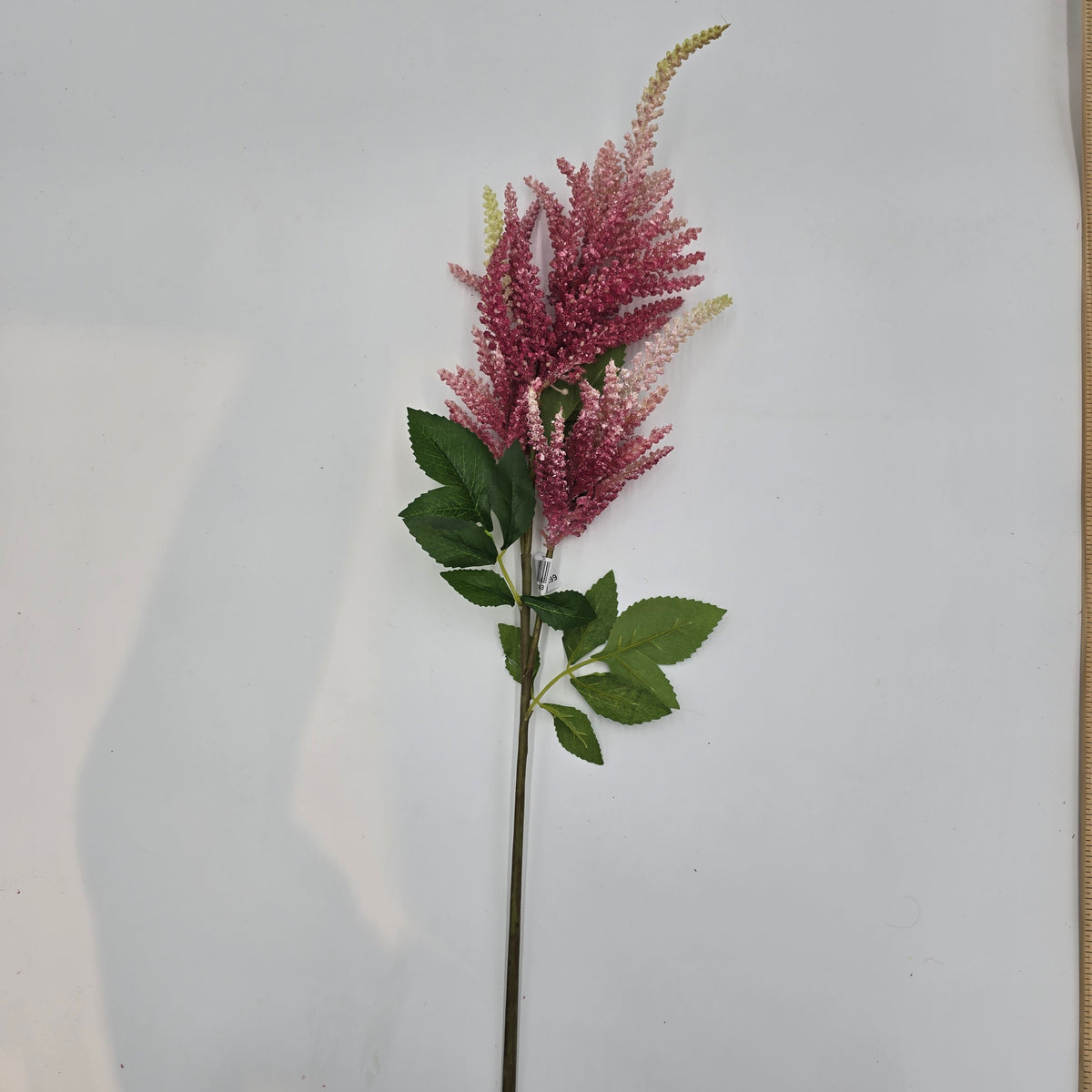 34&quot;ASTILBE--fsa378-ty