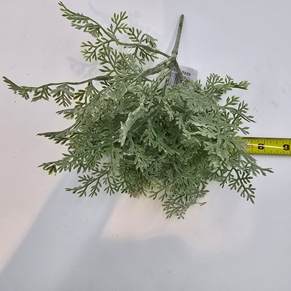 8&quot; DUSTY MILLER--pbd338-gr/gy