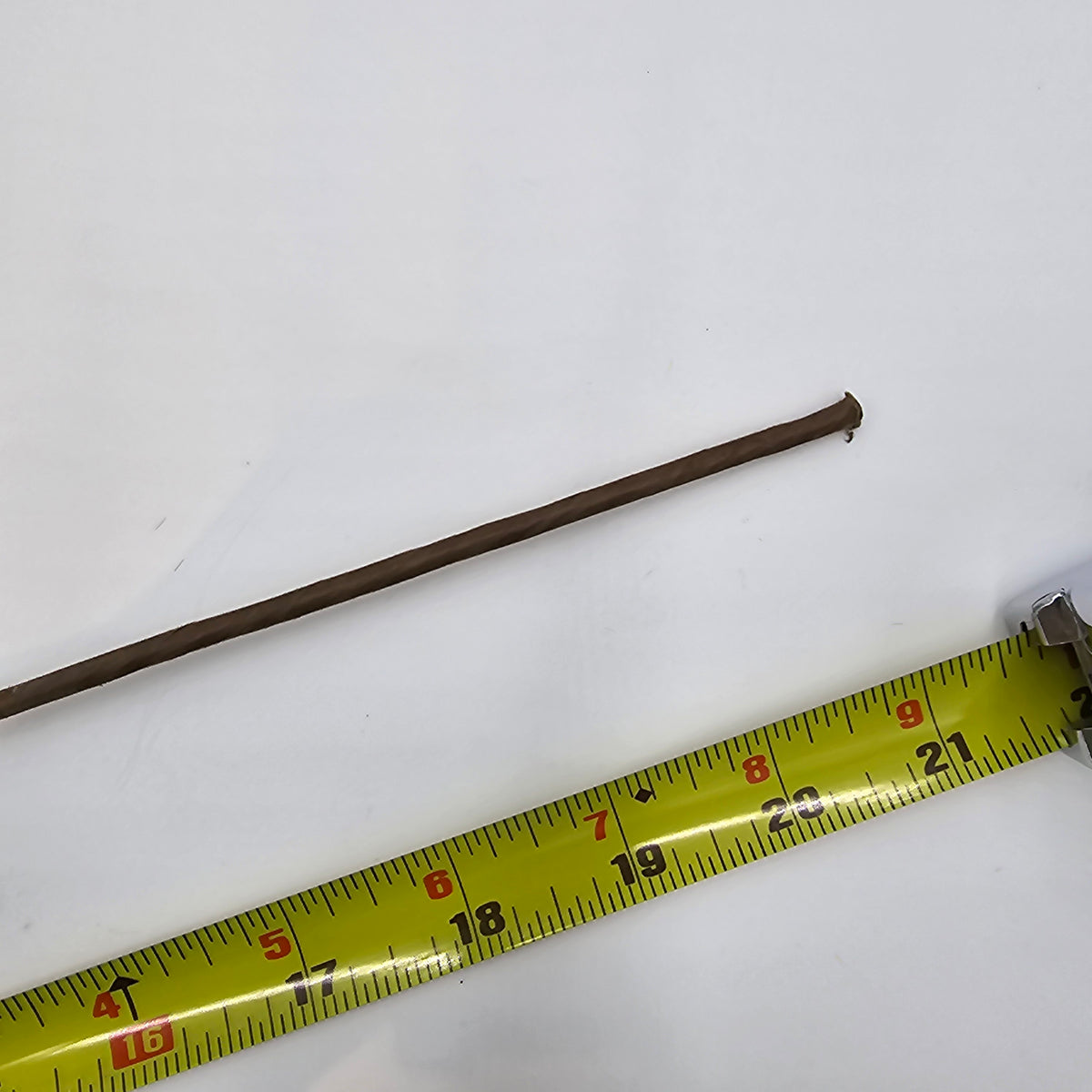 Berry Spray--21&quot;