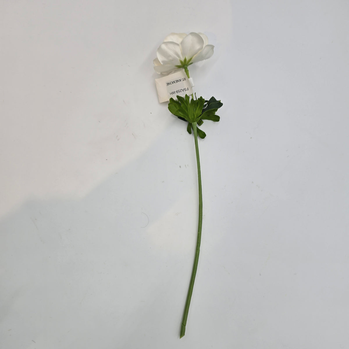 Real-touch Anemone--#fsa259