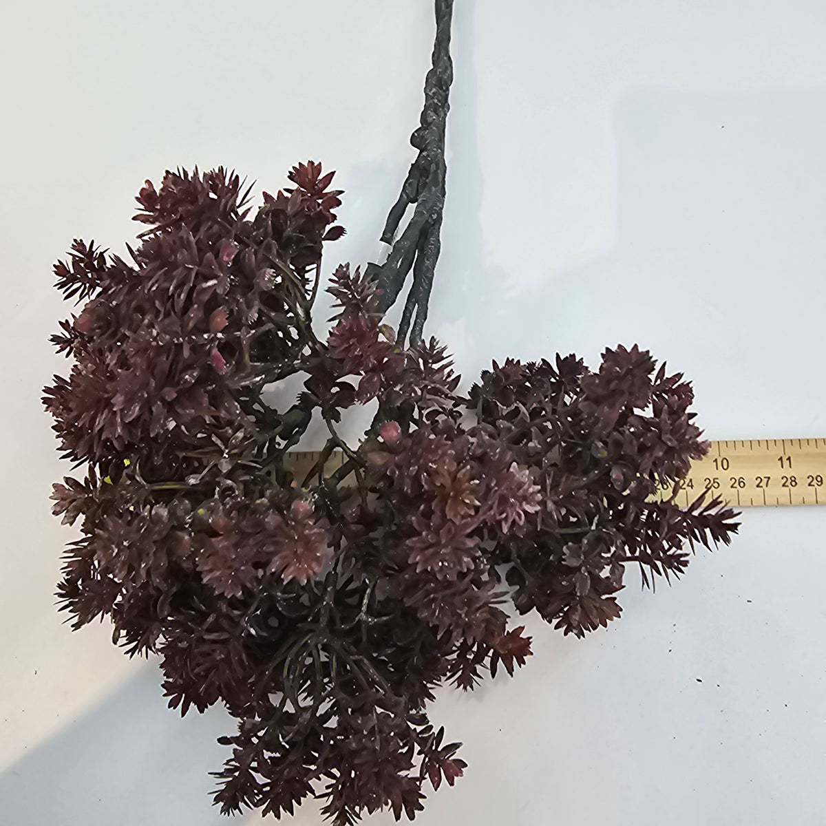 17&quot; mini sedum--brown