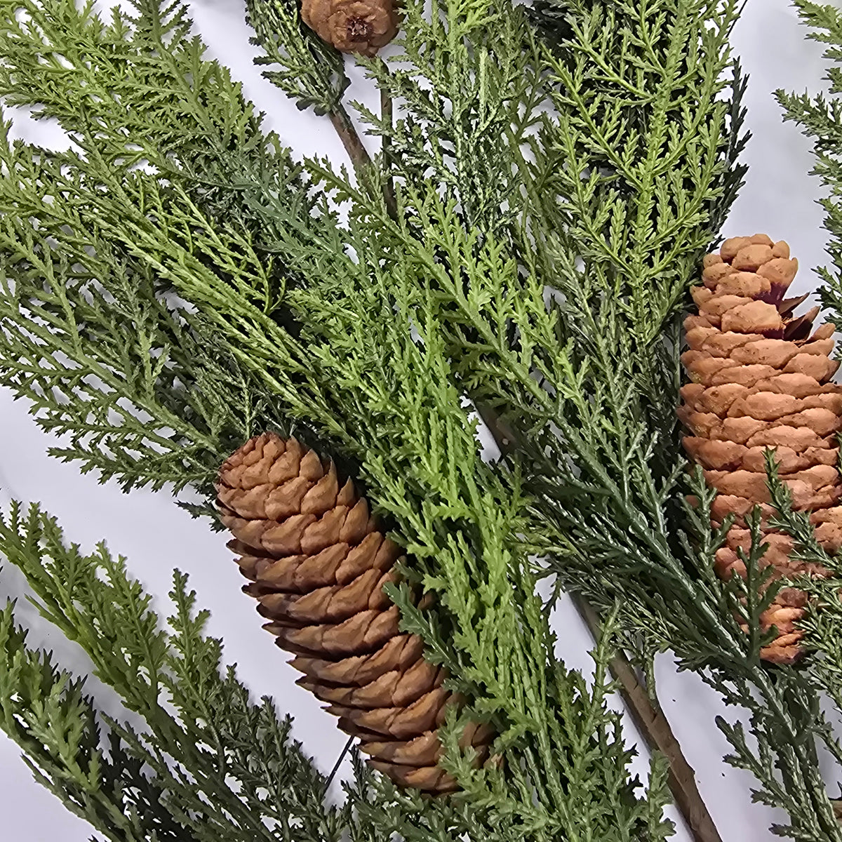 50&quot; Cedar Spry/Cone-#ysc136