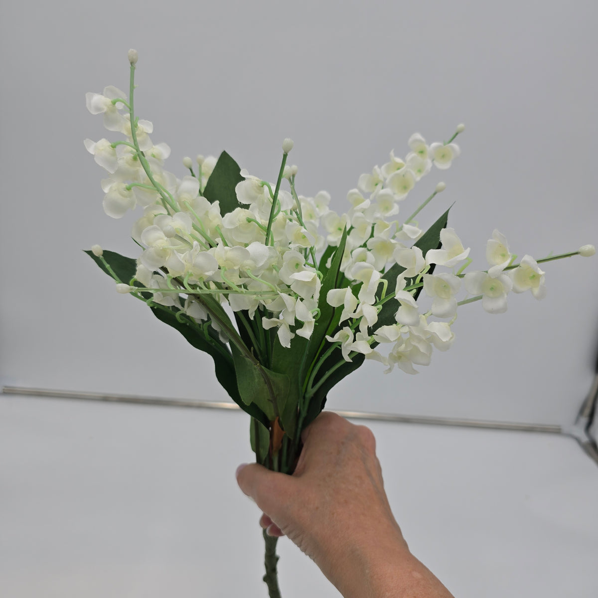 Lily of the Valley--#fbl162