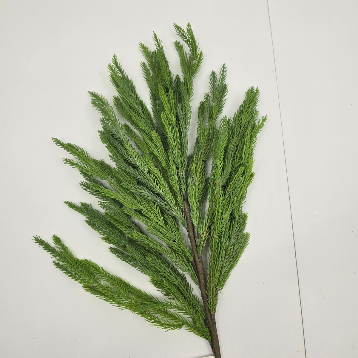 37&quot; Spruce Spray-#yss231