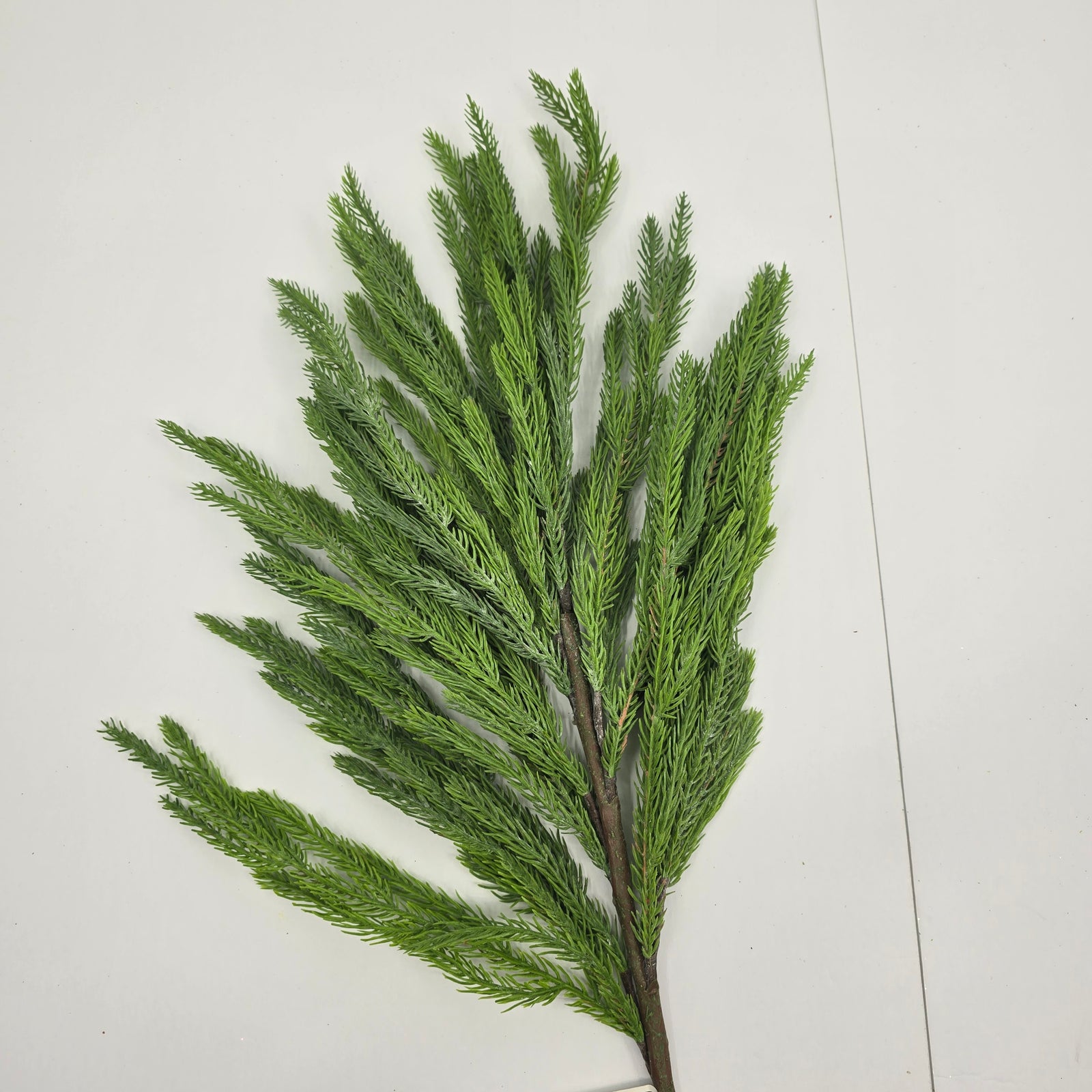 37" Spruce Spray-#yss231