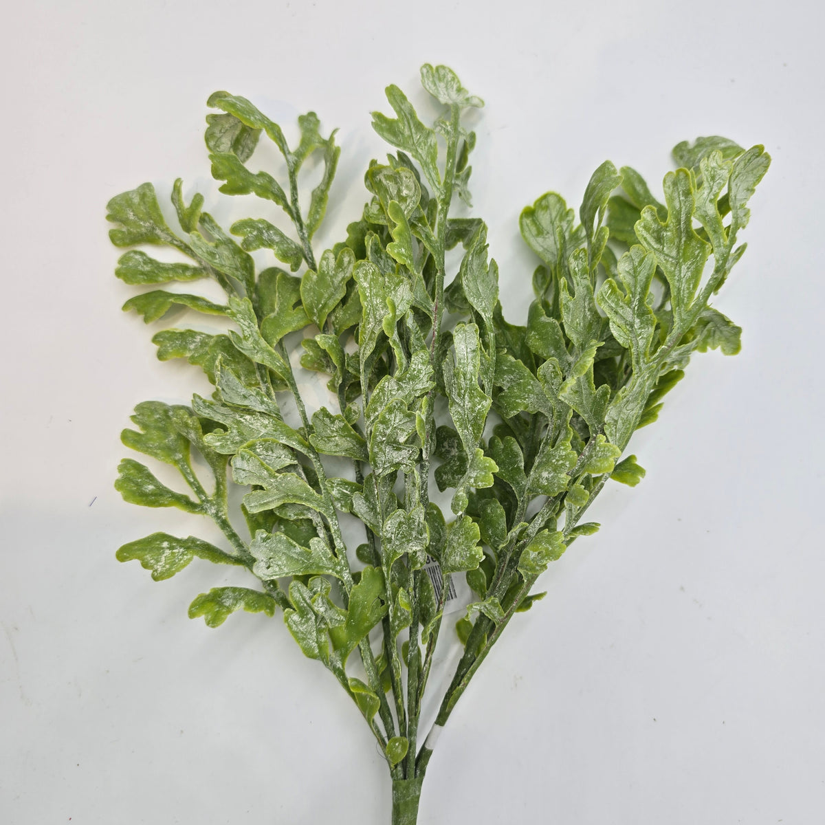 17&quot;MILLER FERN--pbf166-gr