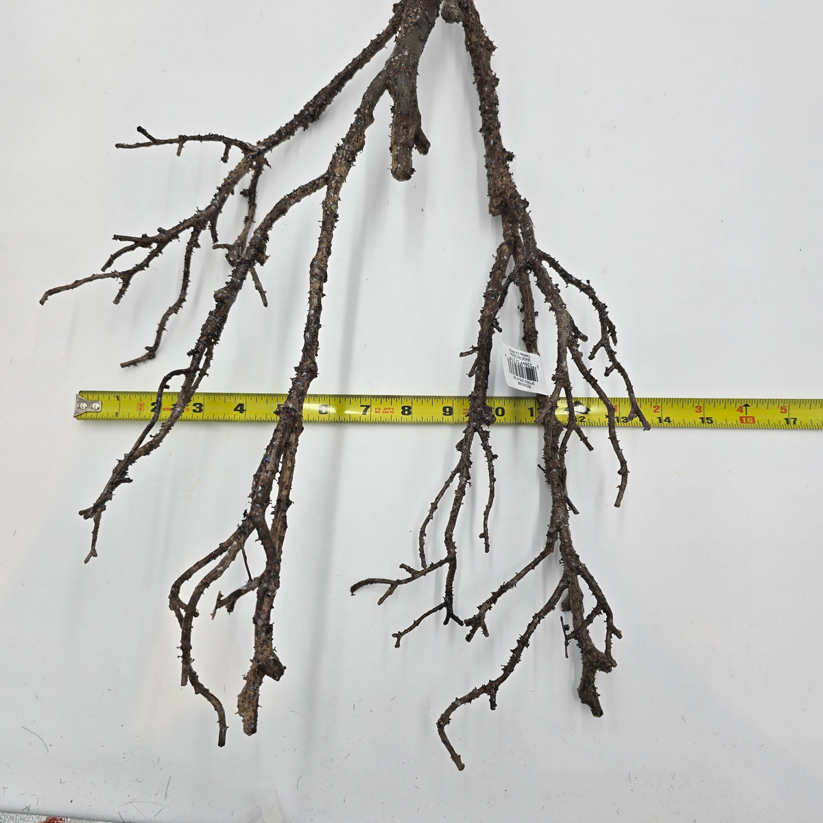 28&quot; Twiggy Branch Spray--#pst656