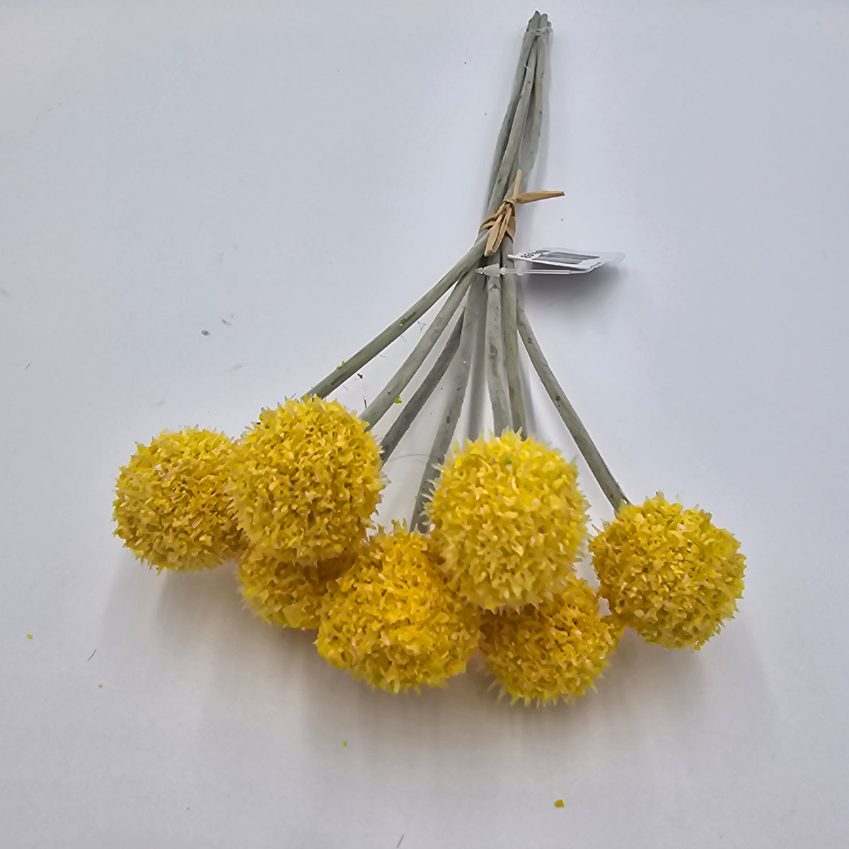 13&quot;BILLY BUTTON--FBL428