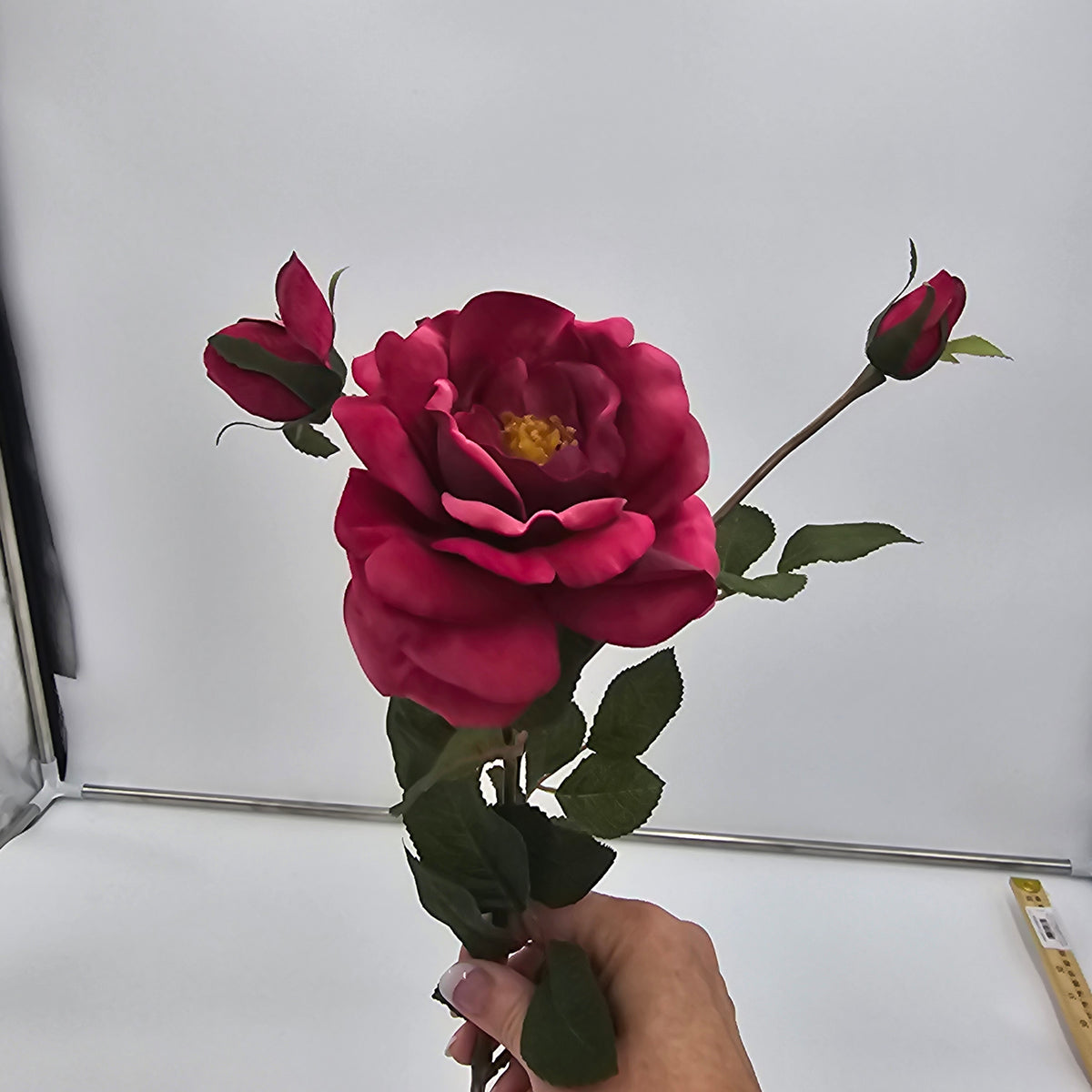 Velvet Rose--#gtr370