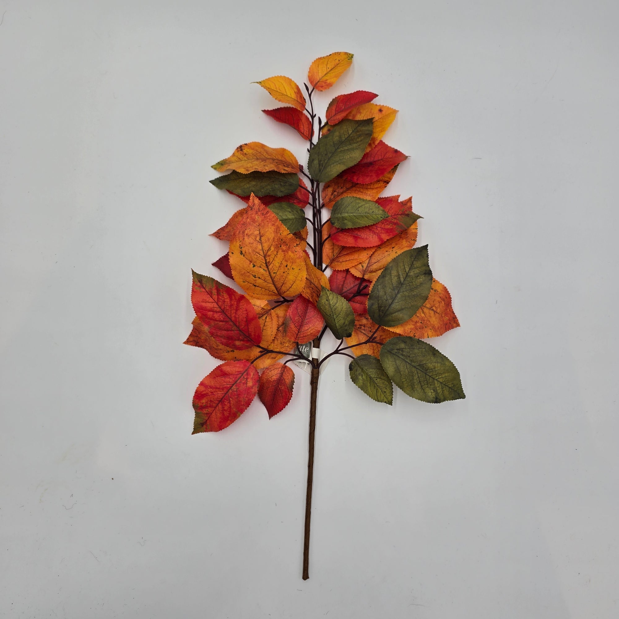 20" Salal Leaf Pick--#pks433