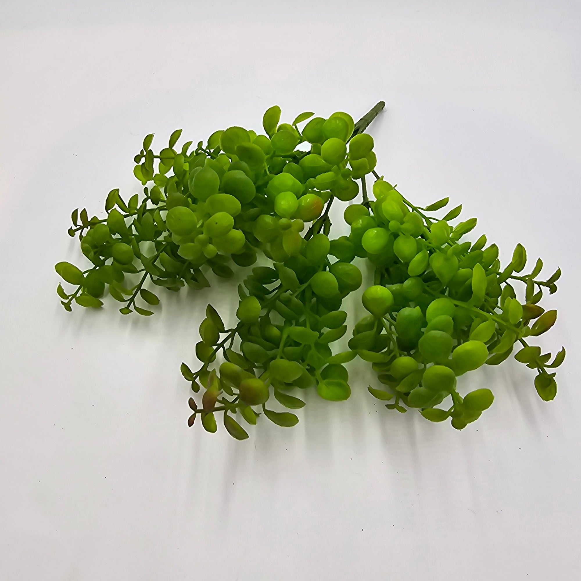 12" Boxwood Bush (Green) #pbb399-gr