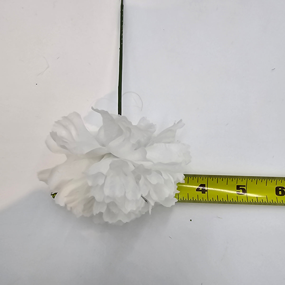 Carnation--#kart7314