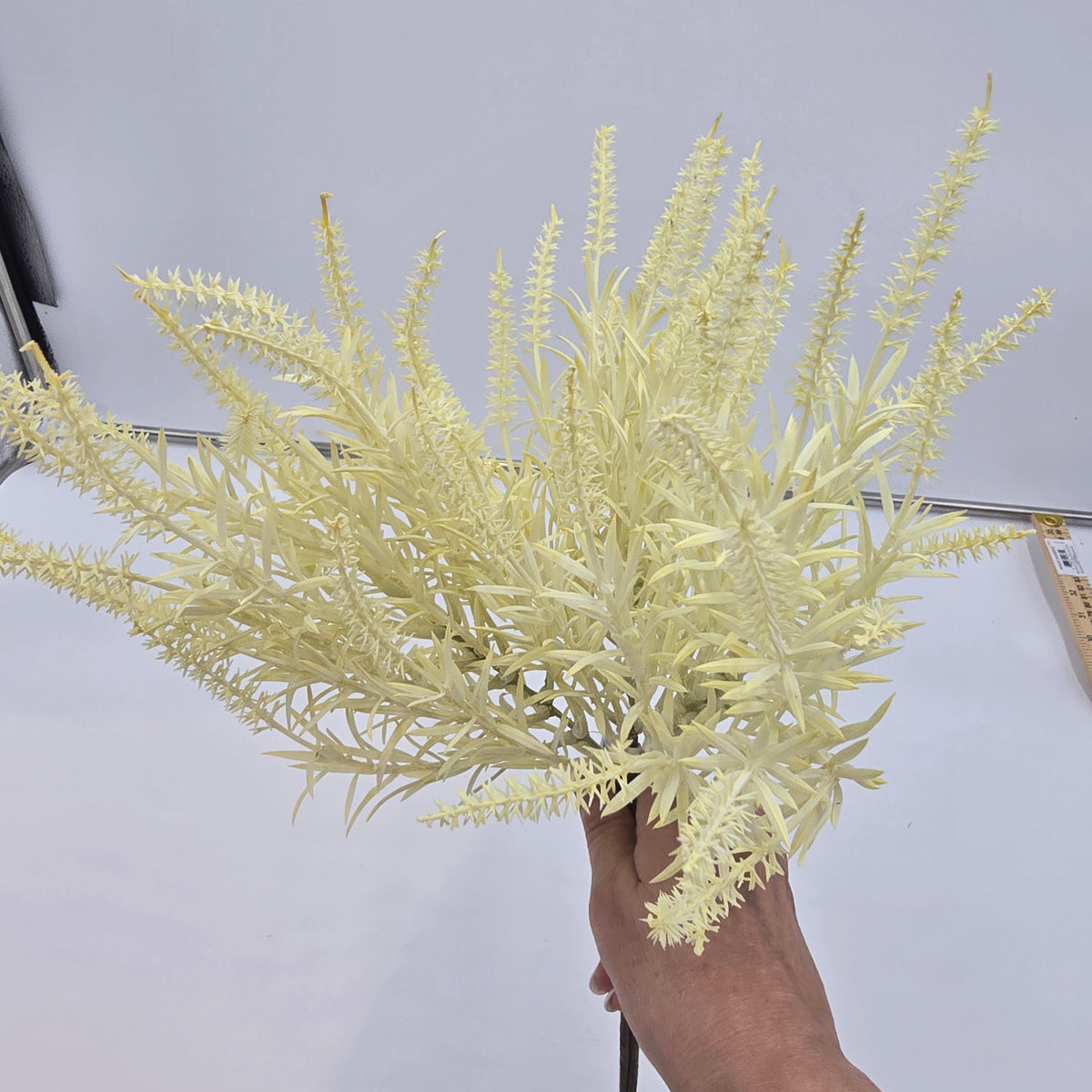 Astilbe Bundle-9&quot; #fbq152