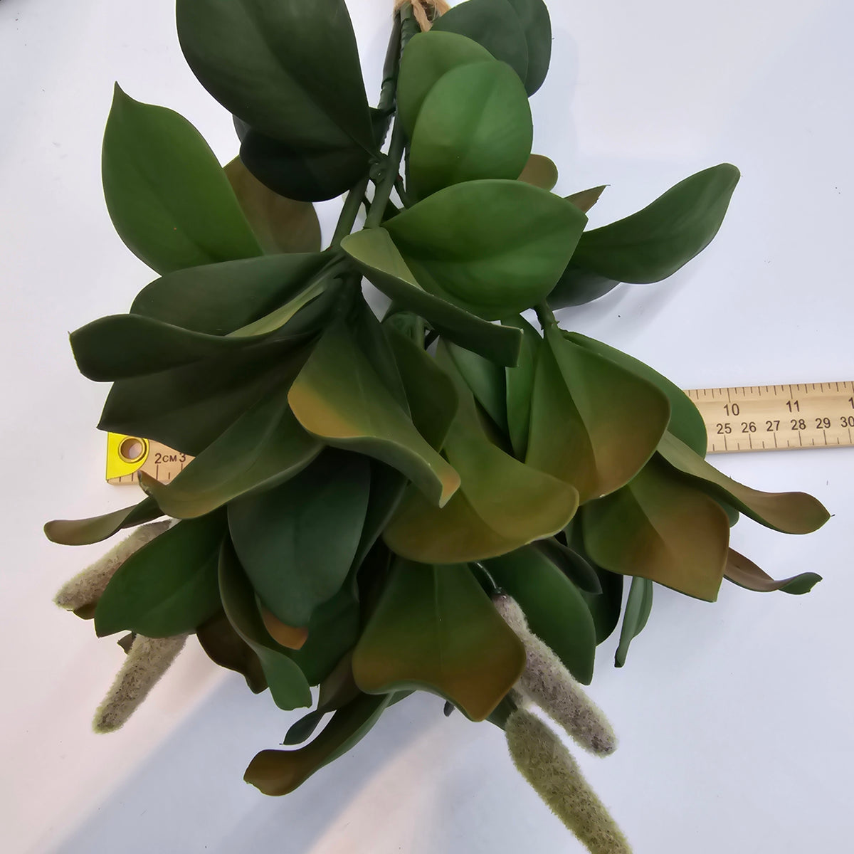 Magnolia Leaf Bundle