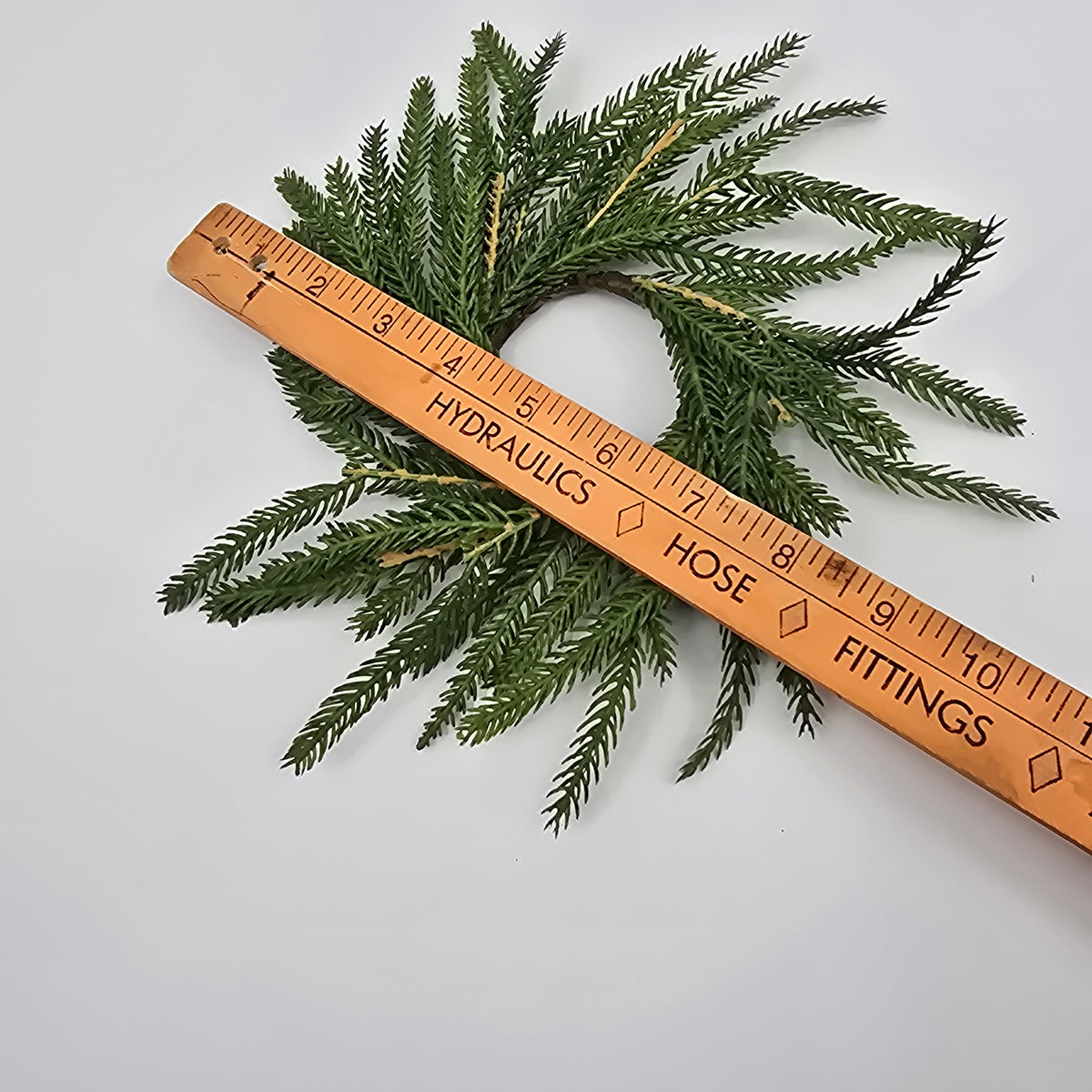 10&quot; Norfolk Pine Candlering/ Mini Wreath--#xdw317