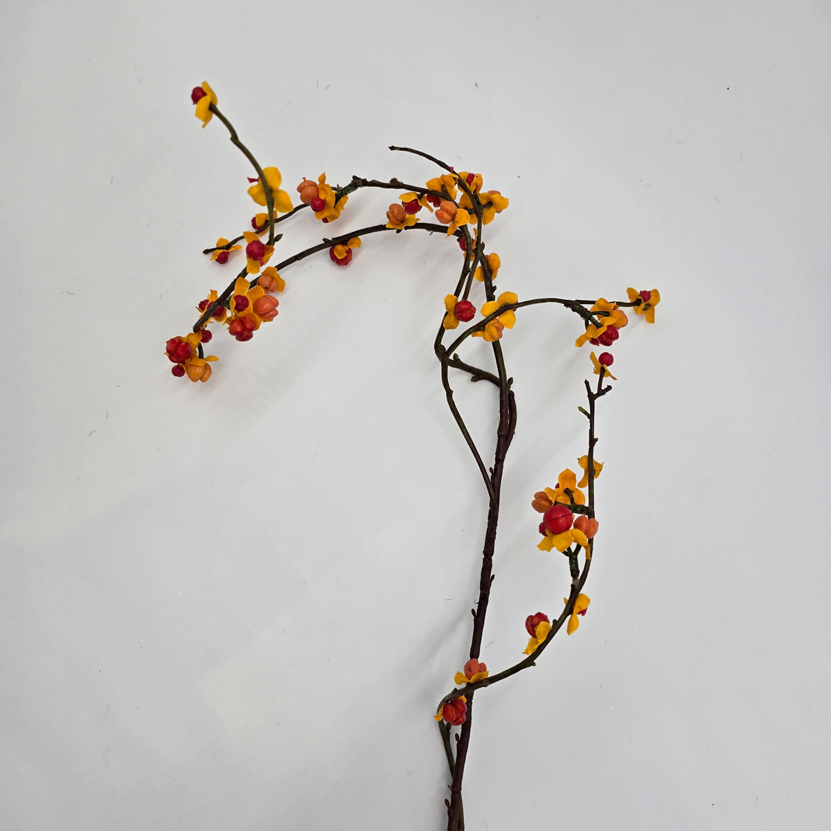 37&quot; Bittersweet Spray--#fsb684