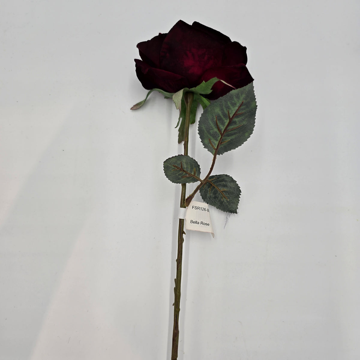 Open Bella Rose--#fsr126