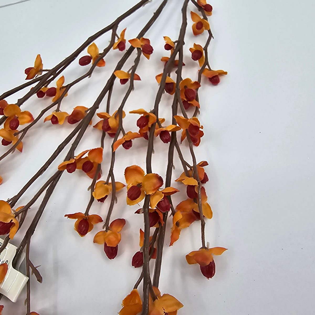 32&quot; Bittersweet--#gtb780