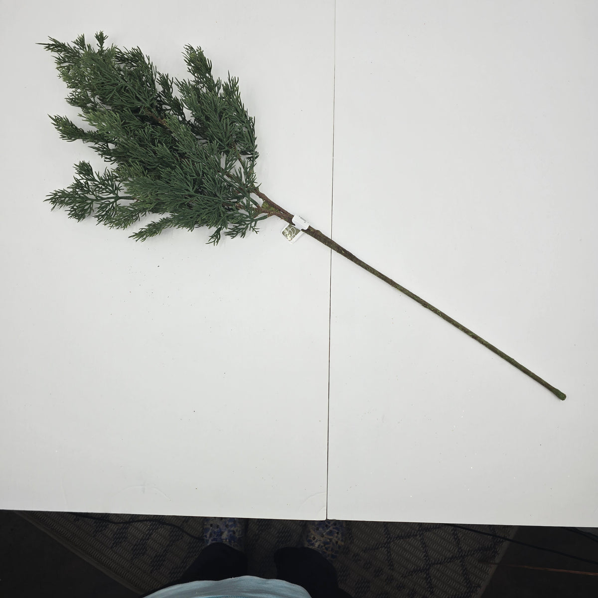 34&quot; Cedar Spray #ysc343