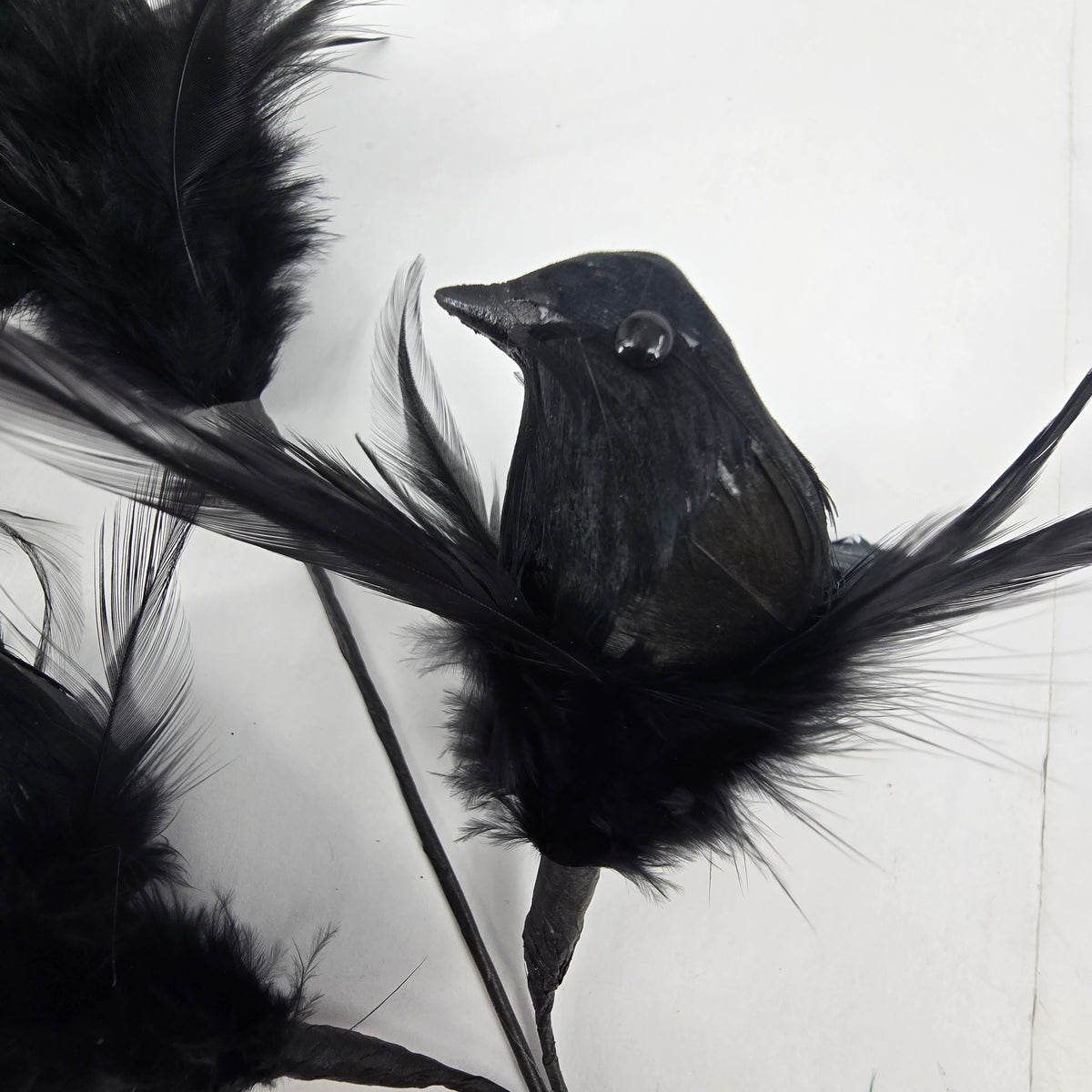 18&quot; Crow/Feather Spray x3--#afs502