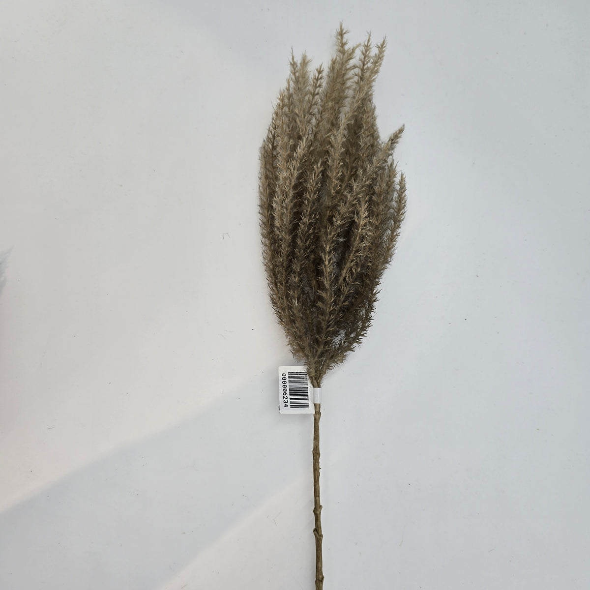 Reed Grass-36&quot; #fsg006