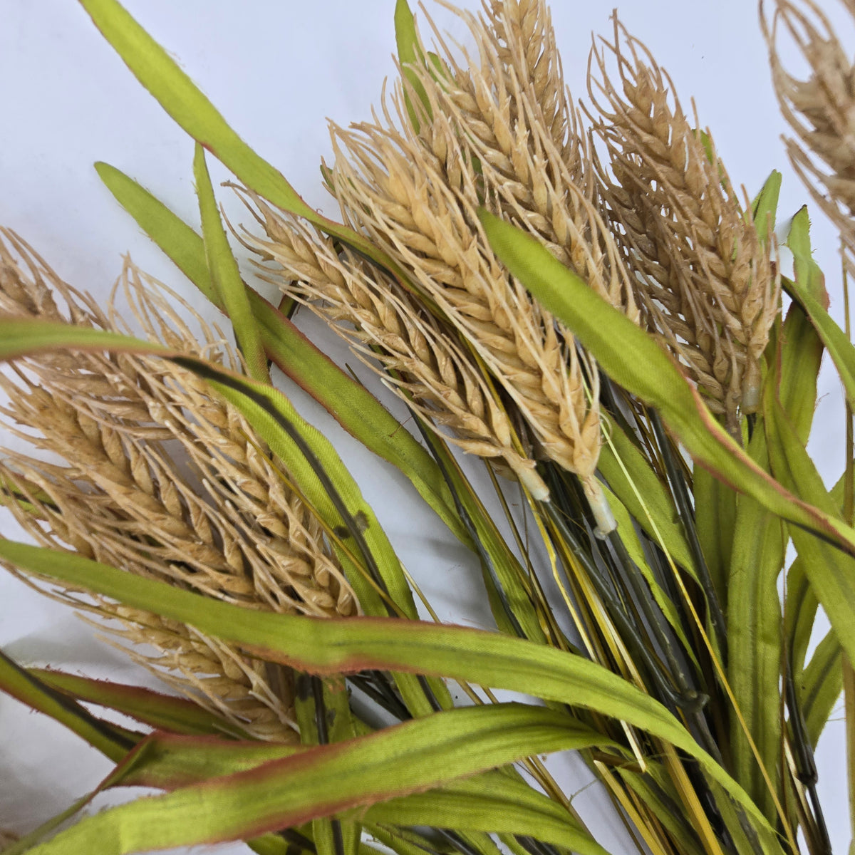 20&quot; Wheat Bush--#pbw110