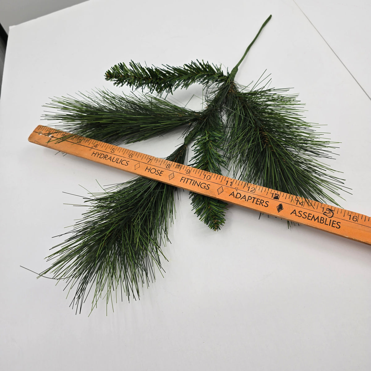20&quot; Long Needle Pine-#ysn015