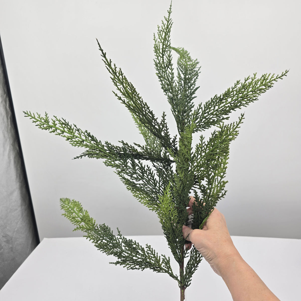 40&quot; Cedar Spry-#ysc409