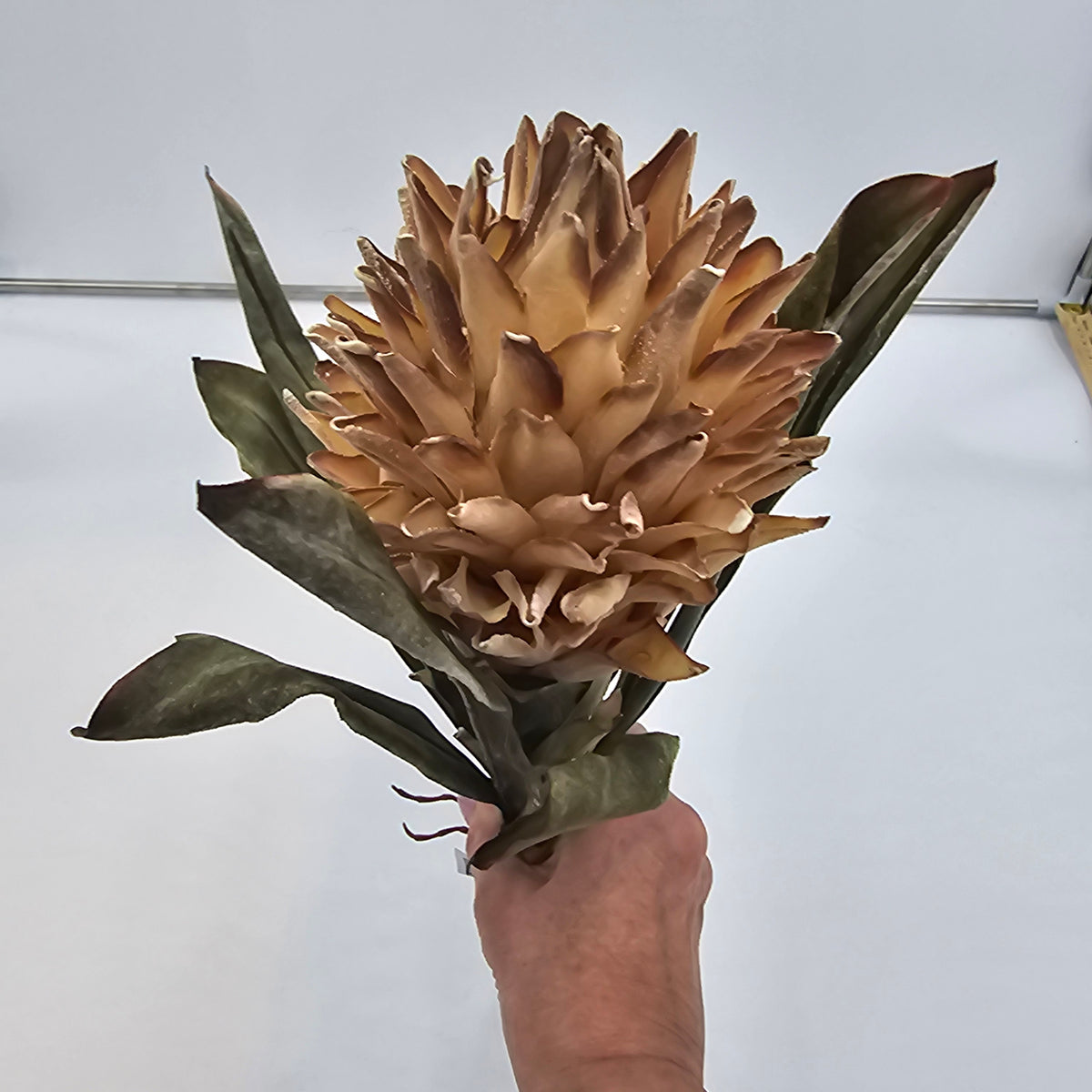 17&quot; Hot Poker--#fsp107