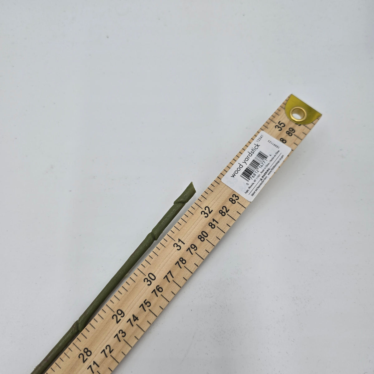 32&quot; Eucalyptus Lf--#pse418