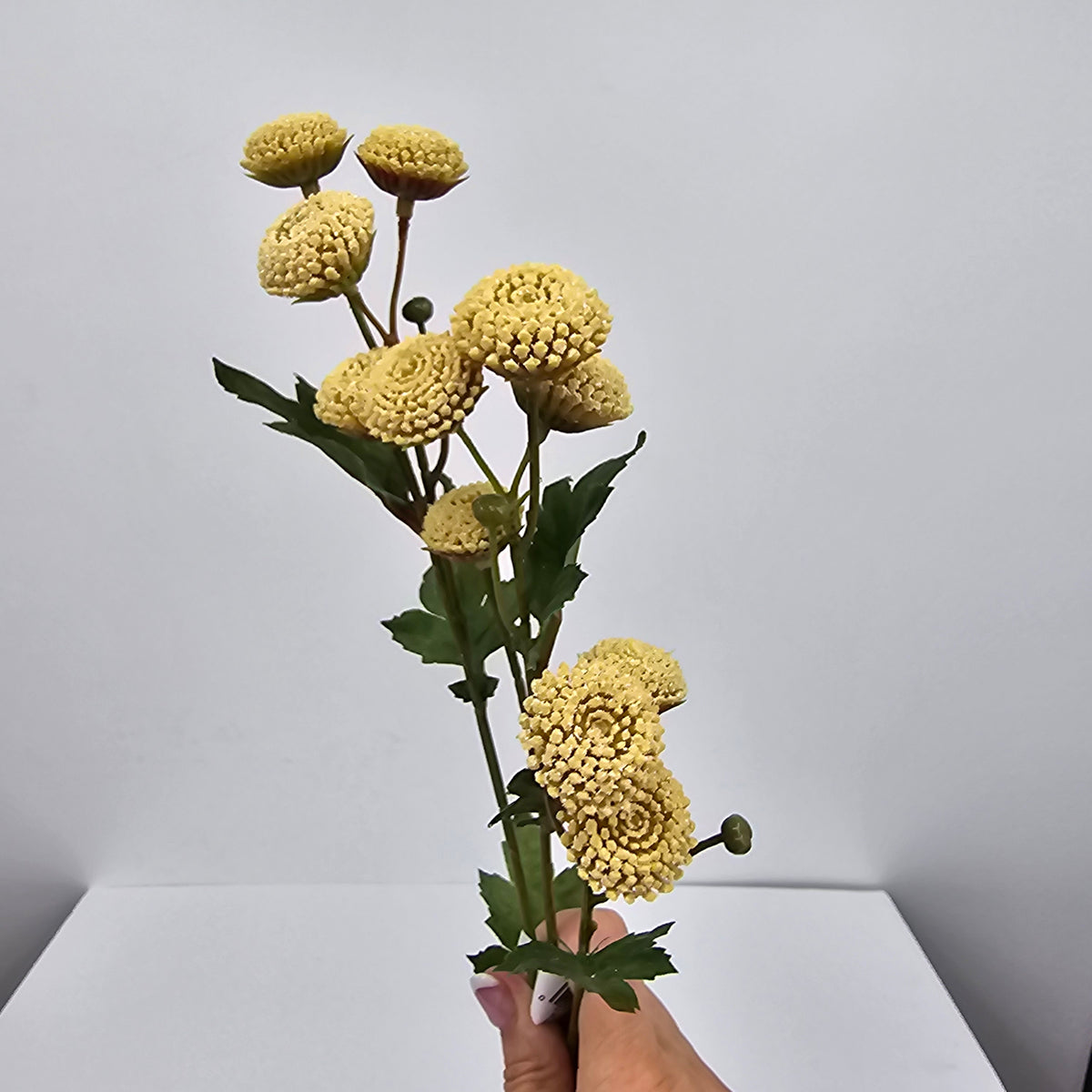 24.5&quot; Tansy Spray-#fst105