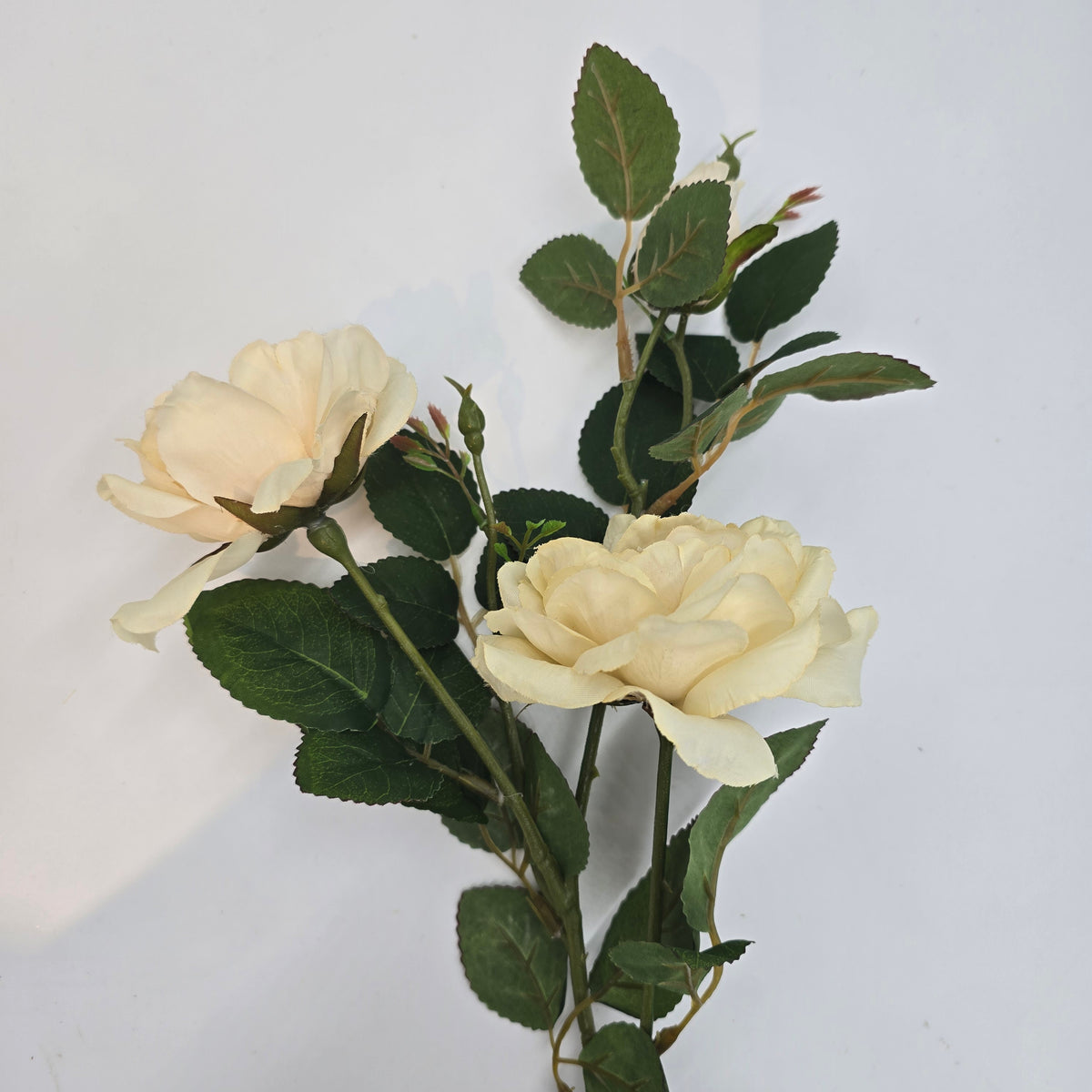 28&quot;ROSE--fsr522