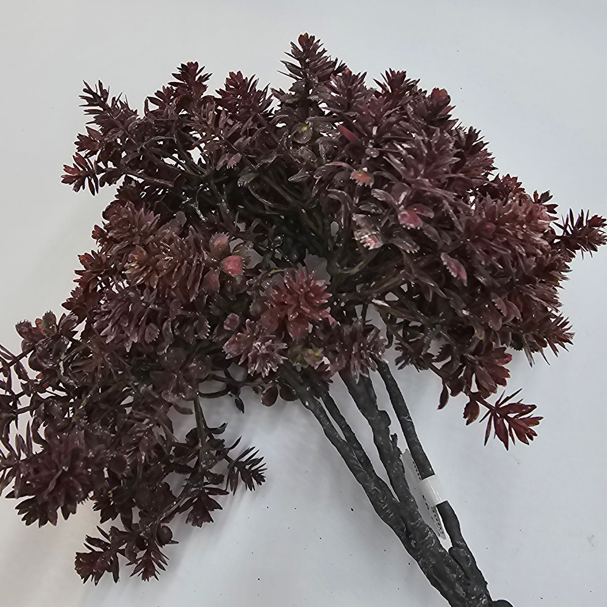 17&quot; mini sedum--brown
