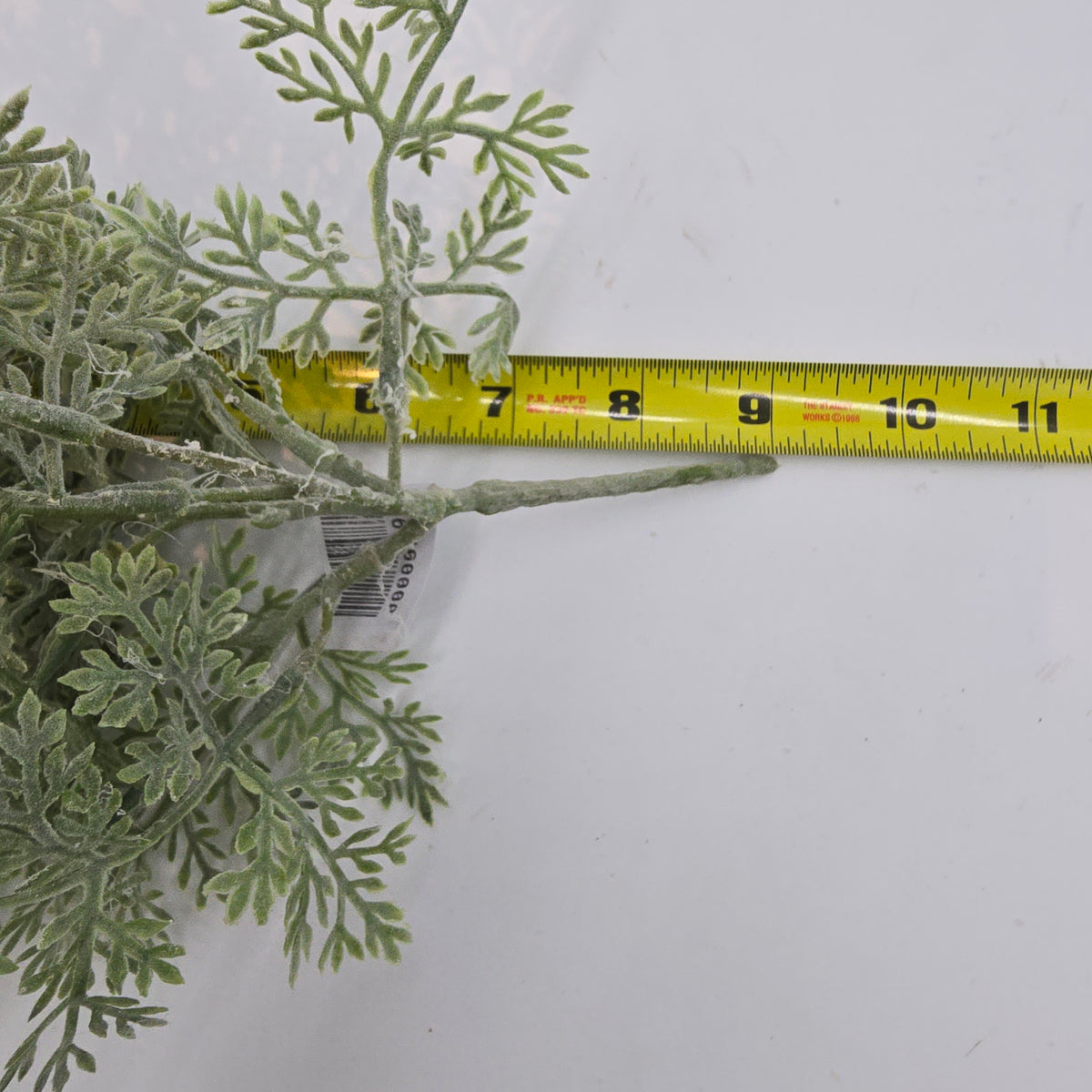 8&quot; DUSTY MILLER--pbd338-gr/gy