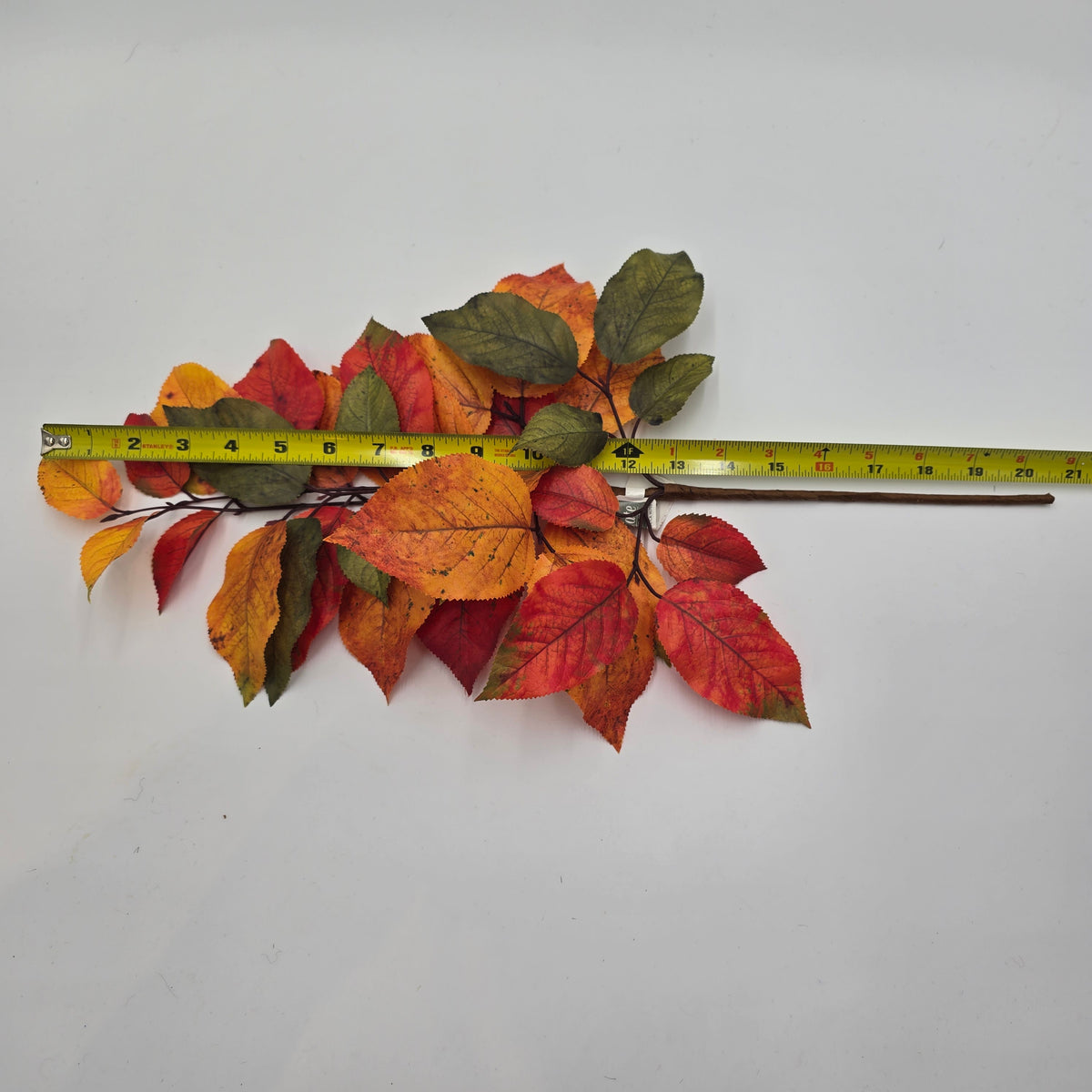 20&quot; Salal Leaf Pick--#pks433