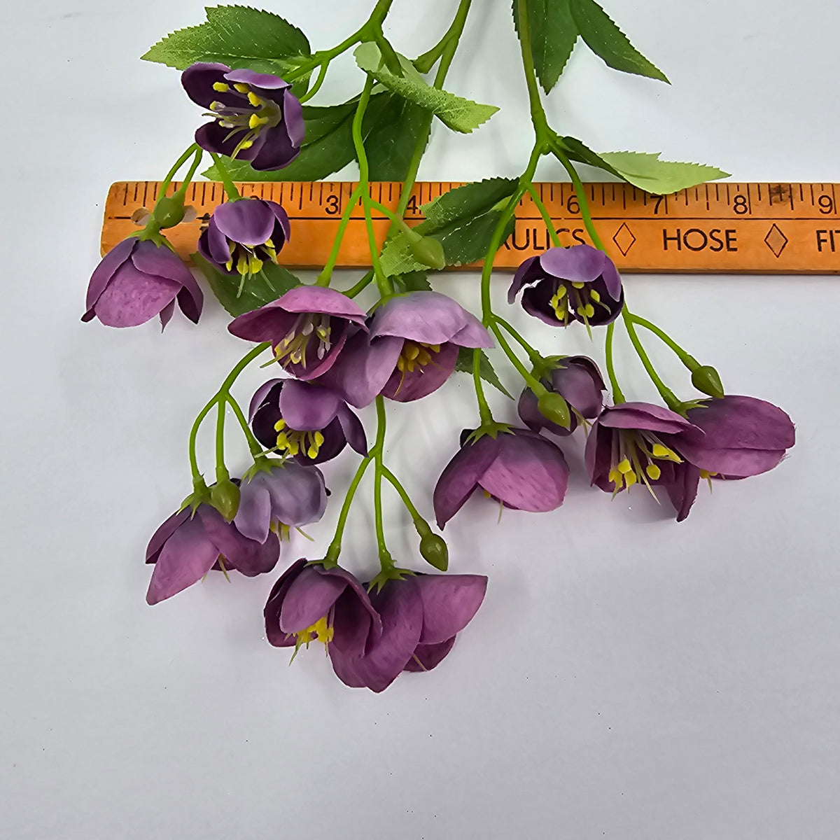 23&quot; Helleborous--#fsh153
