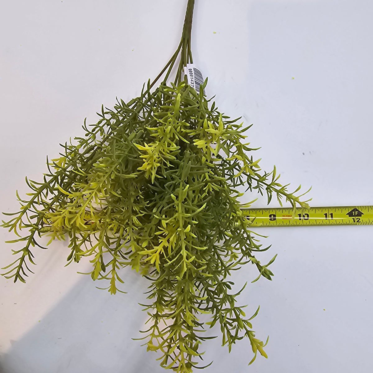 16&quot; Tea Leaf Bush--#pbt022