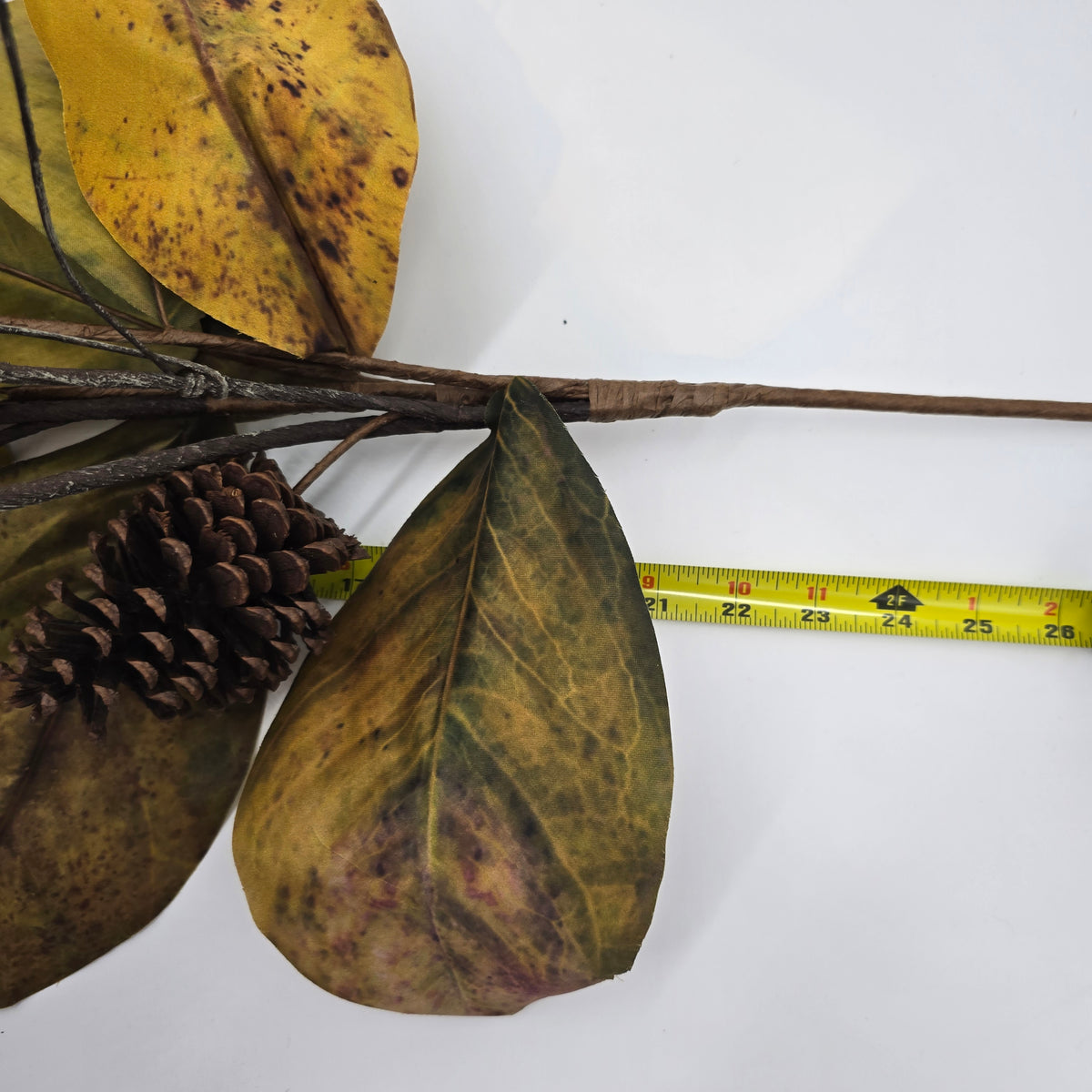 Magnolia/Cone-38&quot; #psm300