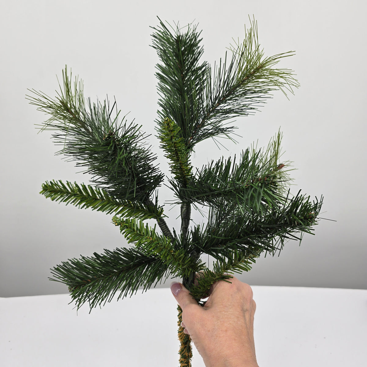 18&quot; Royal Mix Spry #123318