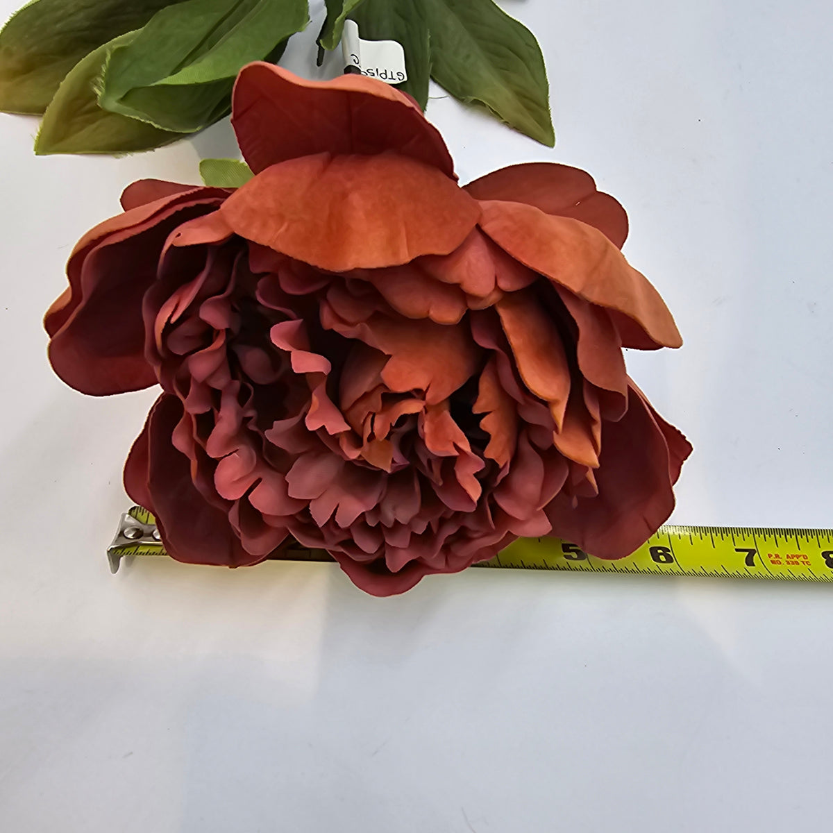 Velvet Peony--#gtp159