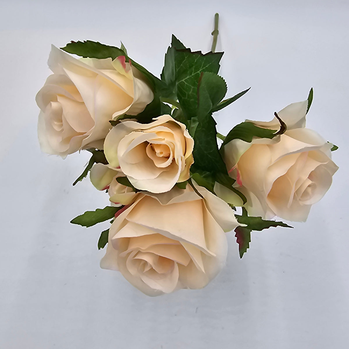 15.5&quot;ROSE--fsr205