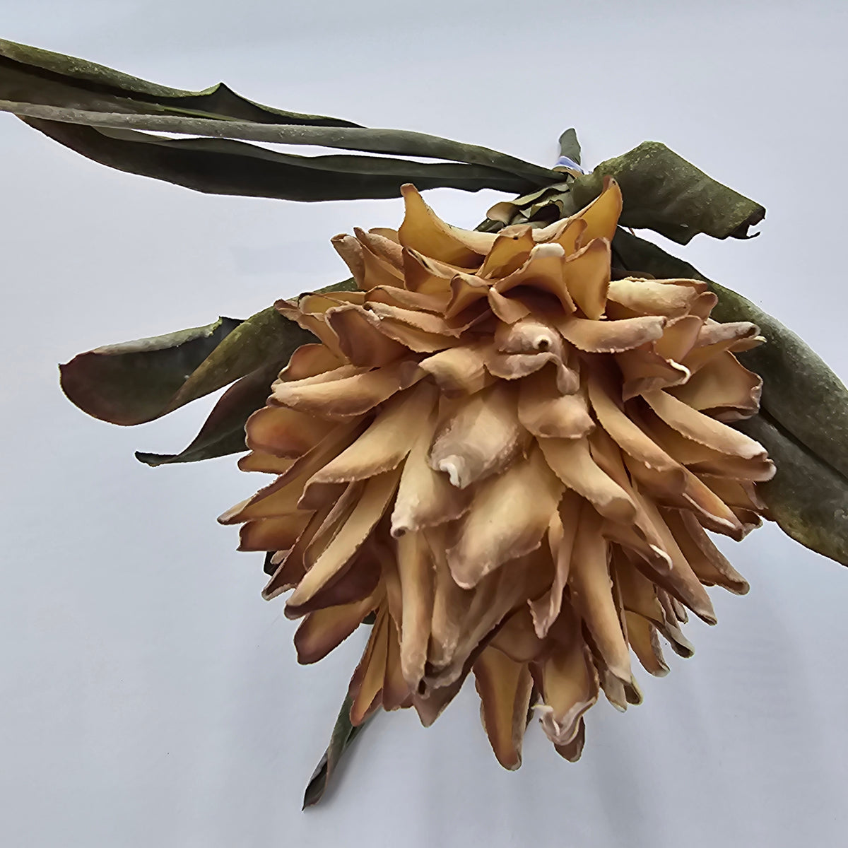 17&quot; Hot Poker--#fsp107