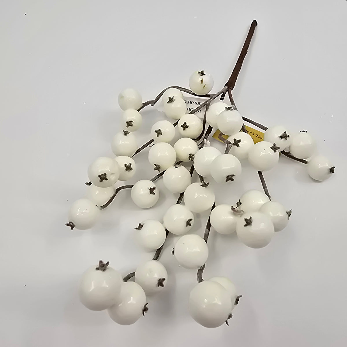 12&quot; WP Crabapple CREAM  #214348