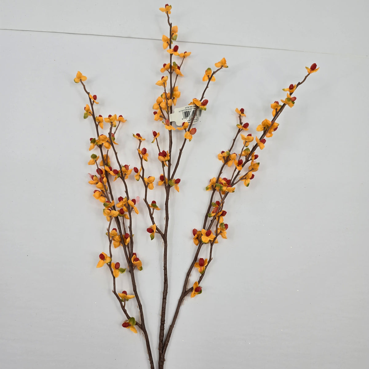 32&quot; Bittersweet--#gtb780