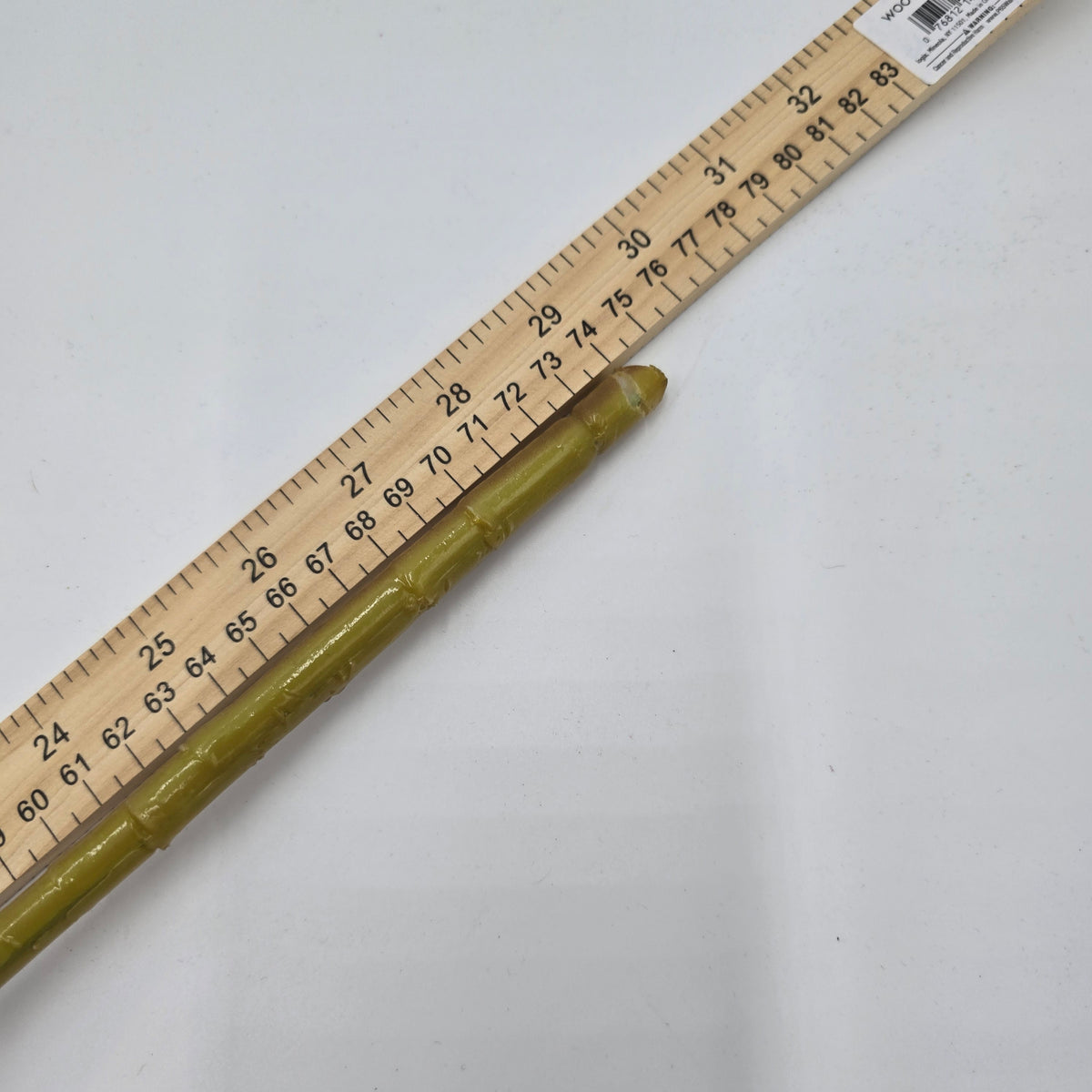 29&quot; Protea-#fsp012