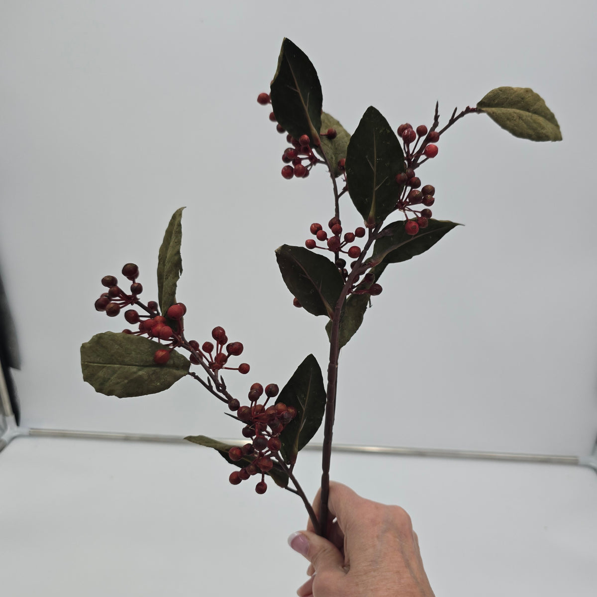 31&quot; Berry -- #fsb583