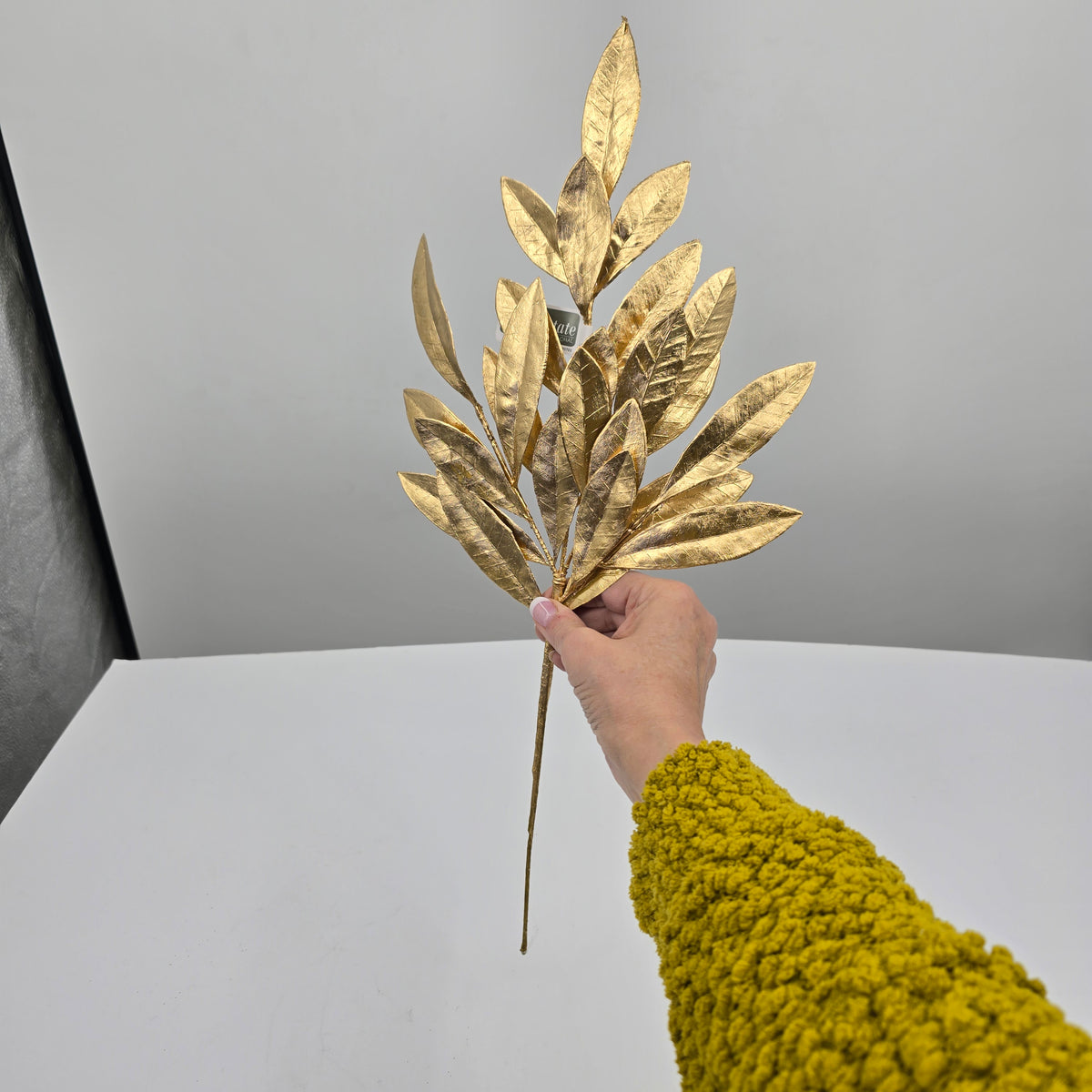 19&quot;BAY LEAF SPRY-#xdz385