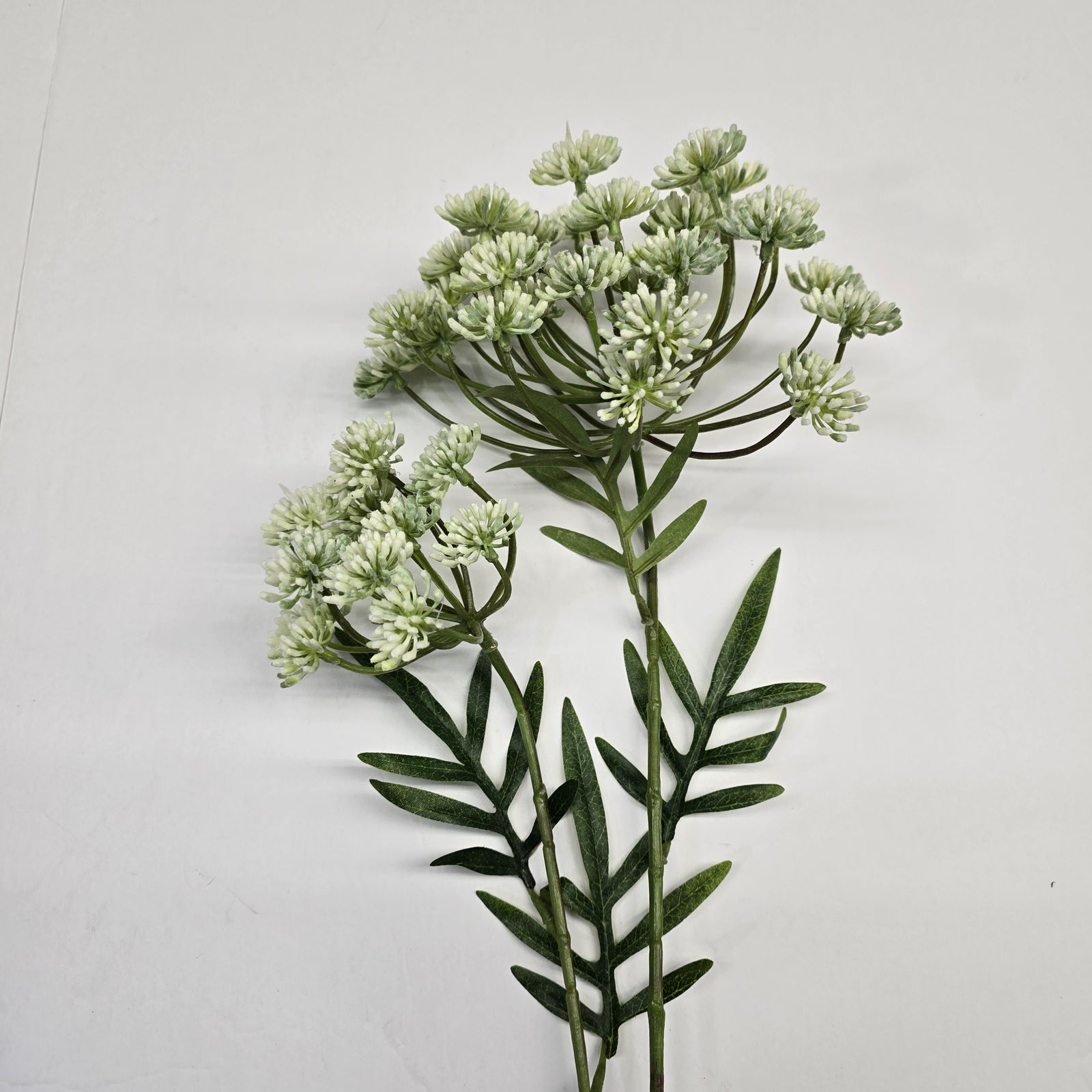 34" Dill Spray #fsd329