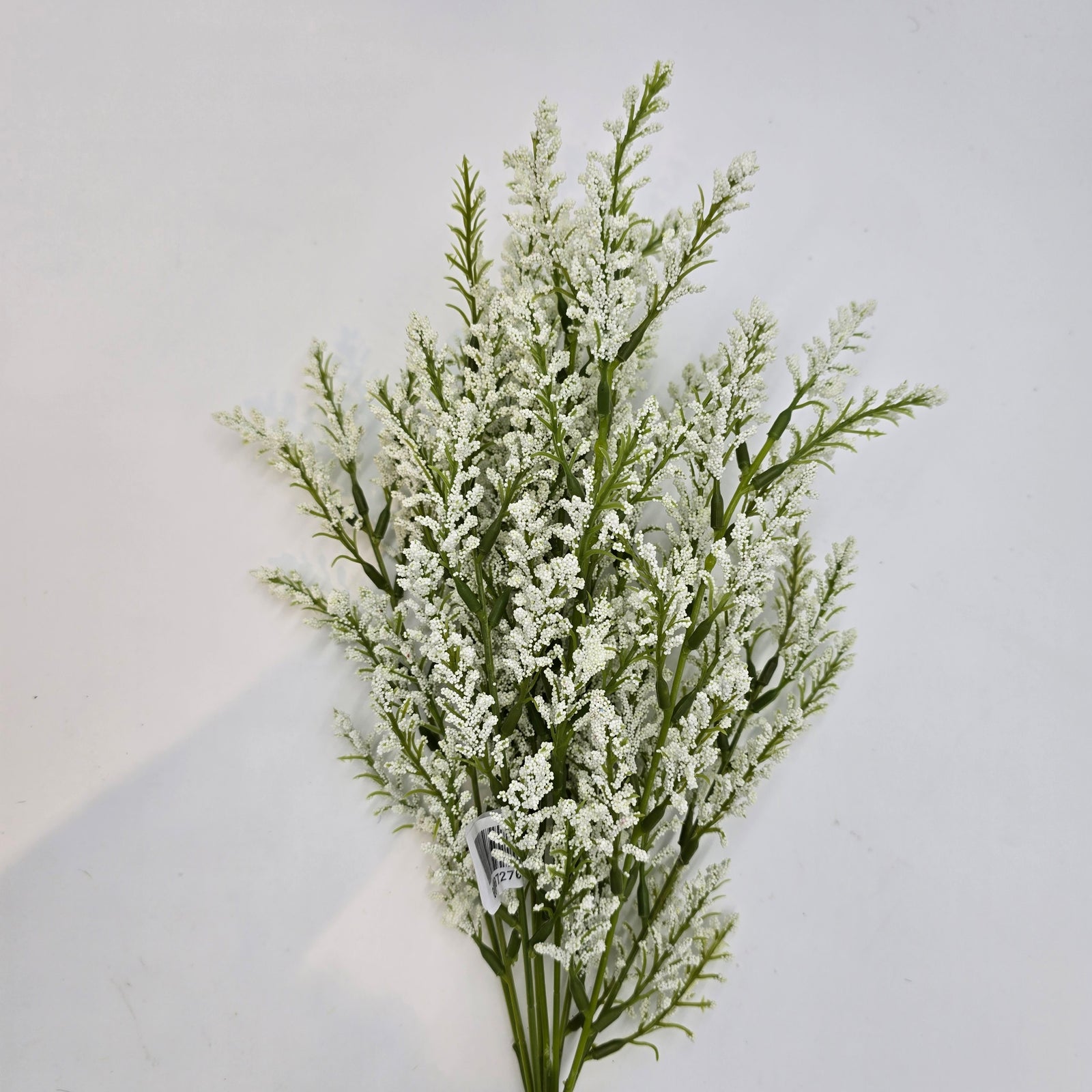 Astilbe Bush--fba256